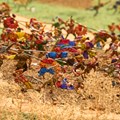 Diorama der Schlacht bei Leipheim im Bauernkriegsmuseum Blaue Ente in Leipheim - Foto: Tino Sieland