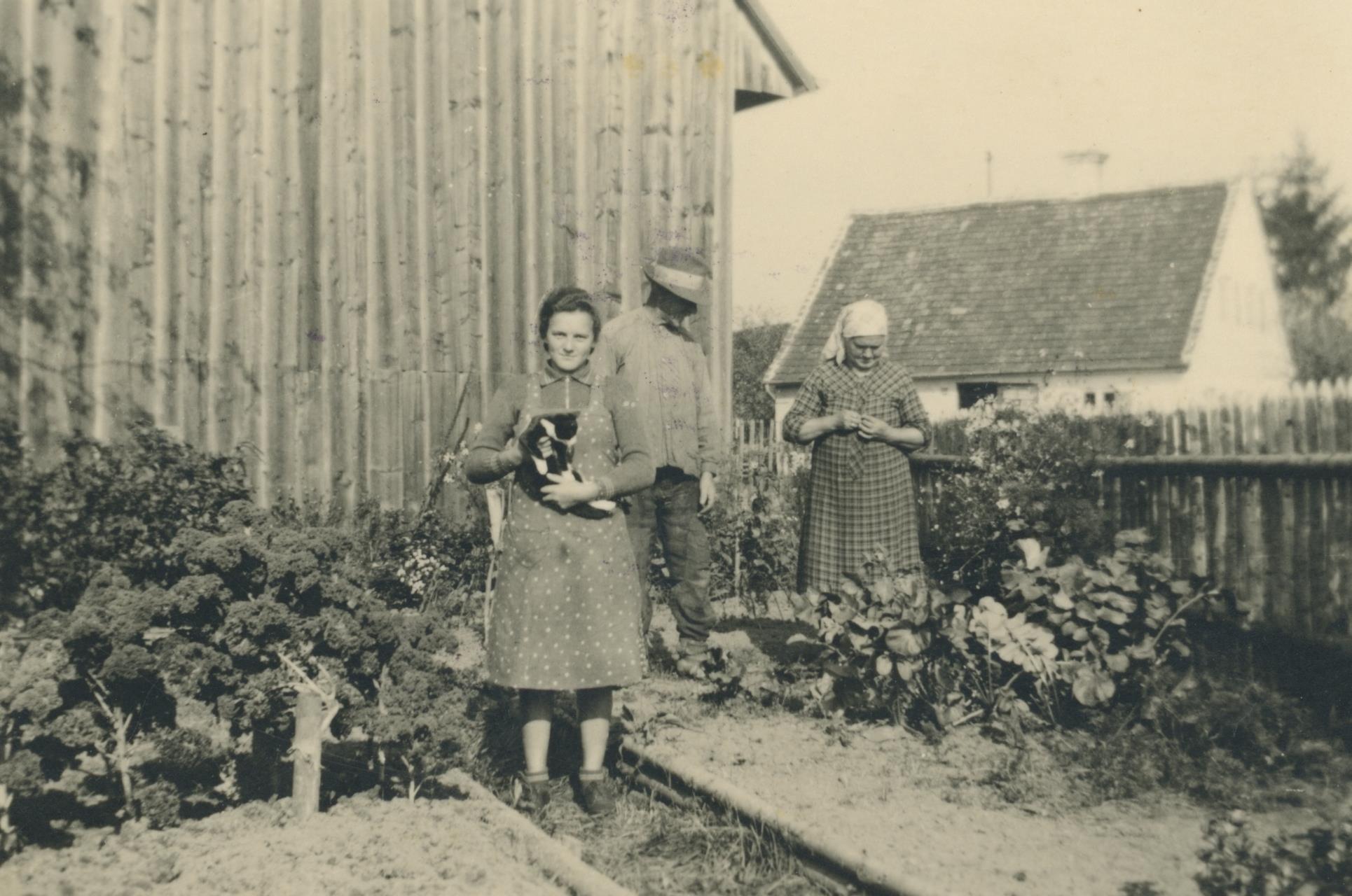 altes Bild von Menschen in einem Gemüsebeet vor einem Haus