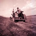 Haag bei Oy. Bauer bei der Feldarbeit - Foto: Alfred Weitnauer